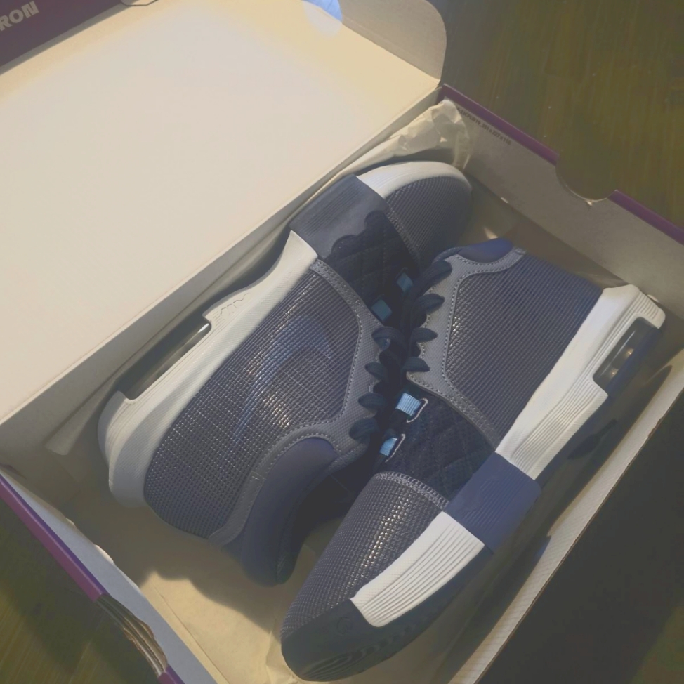 Sneakers Lebron